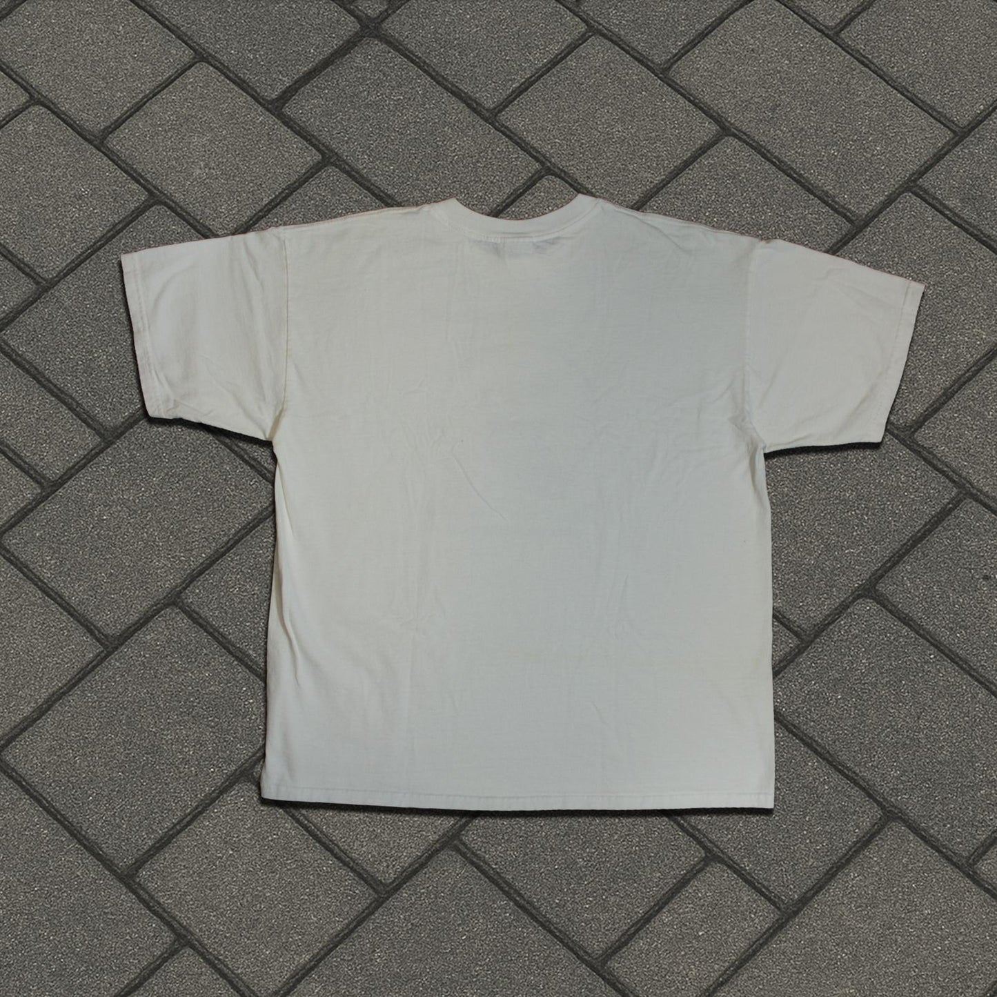 2001 Bin Laden Been Hidin Tee