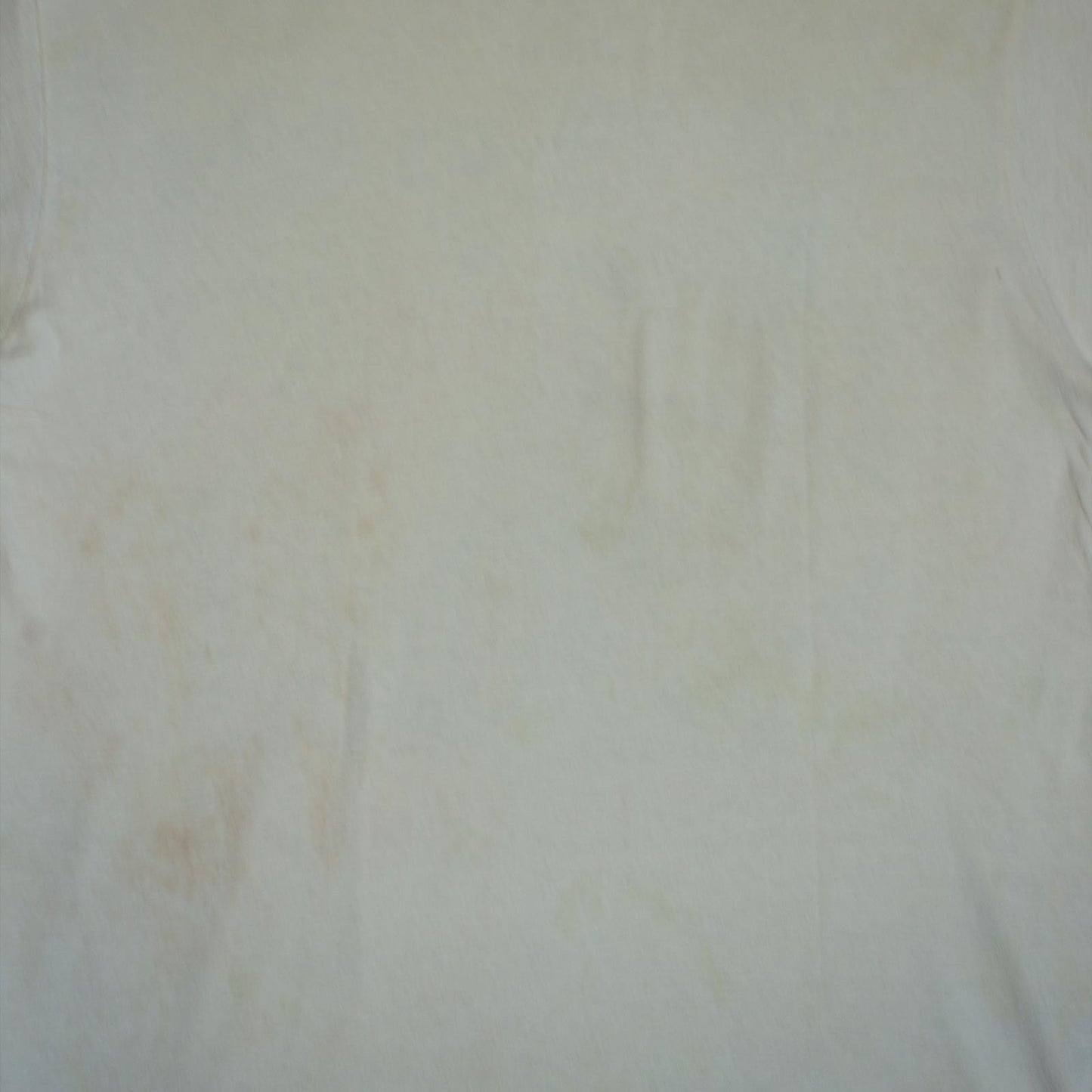 1990 GG Allin Suicide Tour Tee