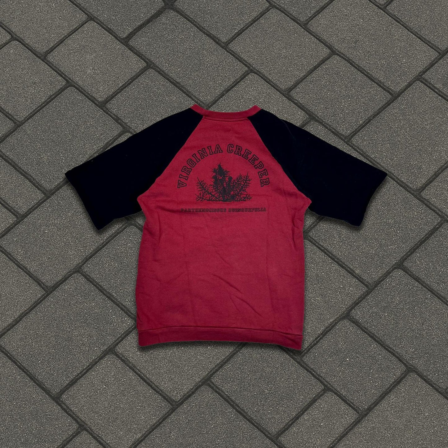 Raf Simons Redux Virginia Creeper Raglan Shirt