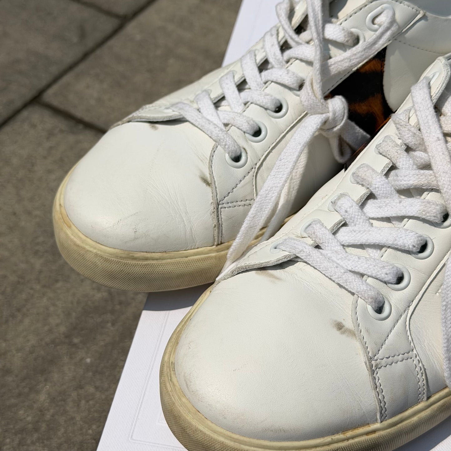 Celine TR01L Animal Sneaker