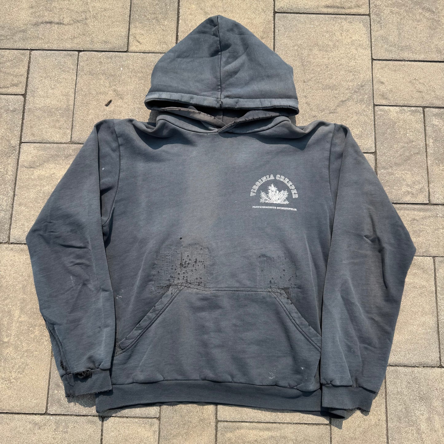 AW02 Raf Simons Virginia Creeper Colligate Hoodie