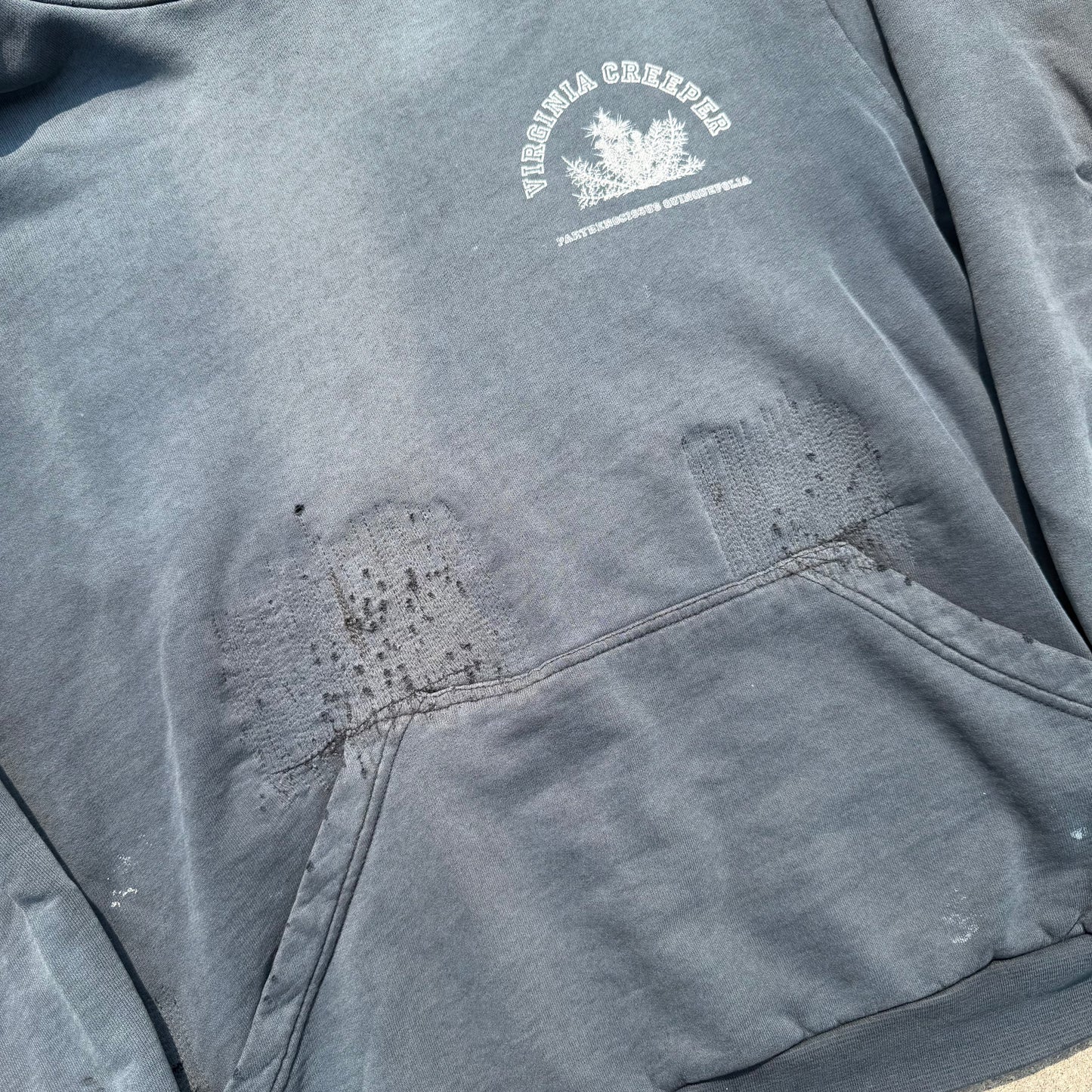 AW02 Raf Simons Virginia Creeper Colligate Hoodie