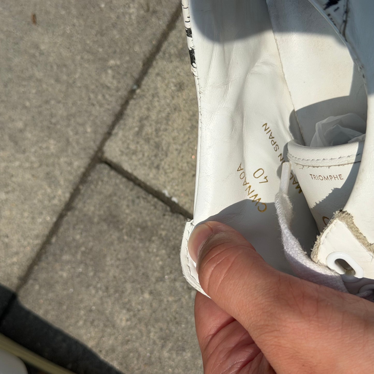 Celine TR01L Animal Sneaker