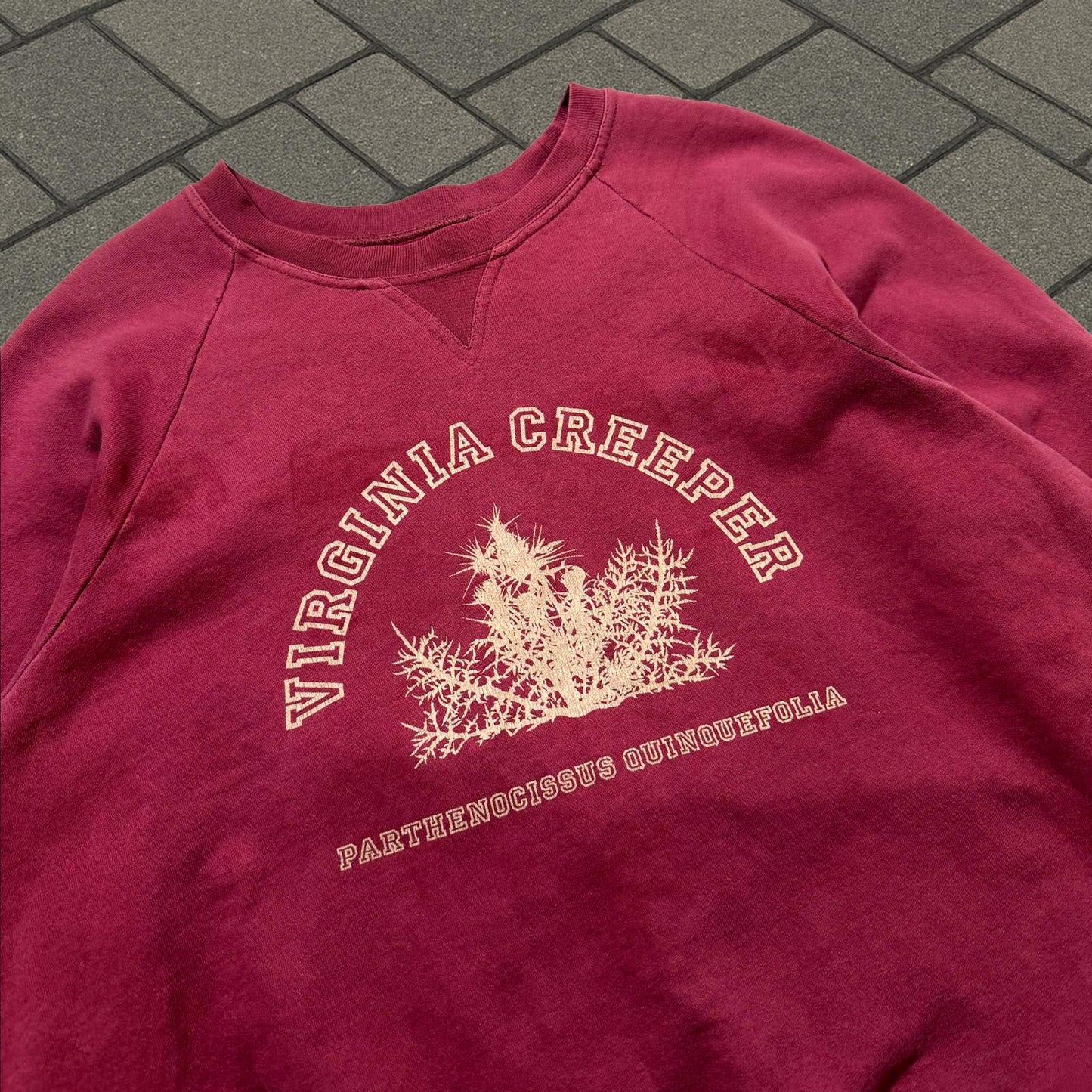 AW02 Raf Simons Red Virginia Creeper Colligate Crewneck