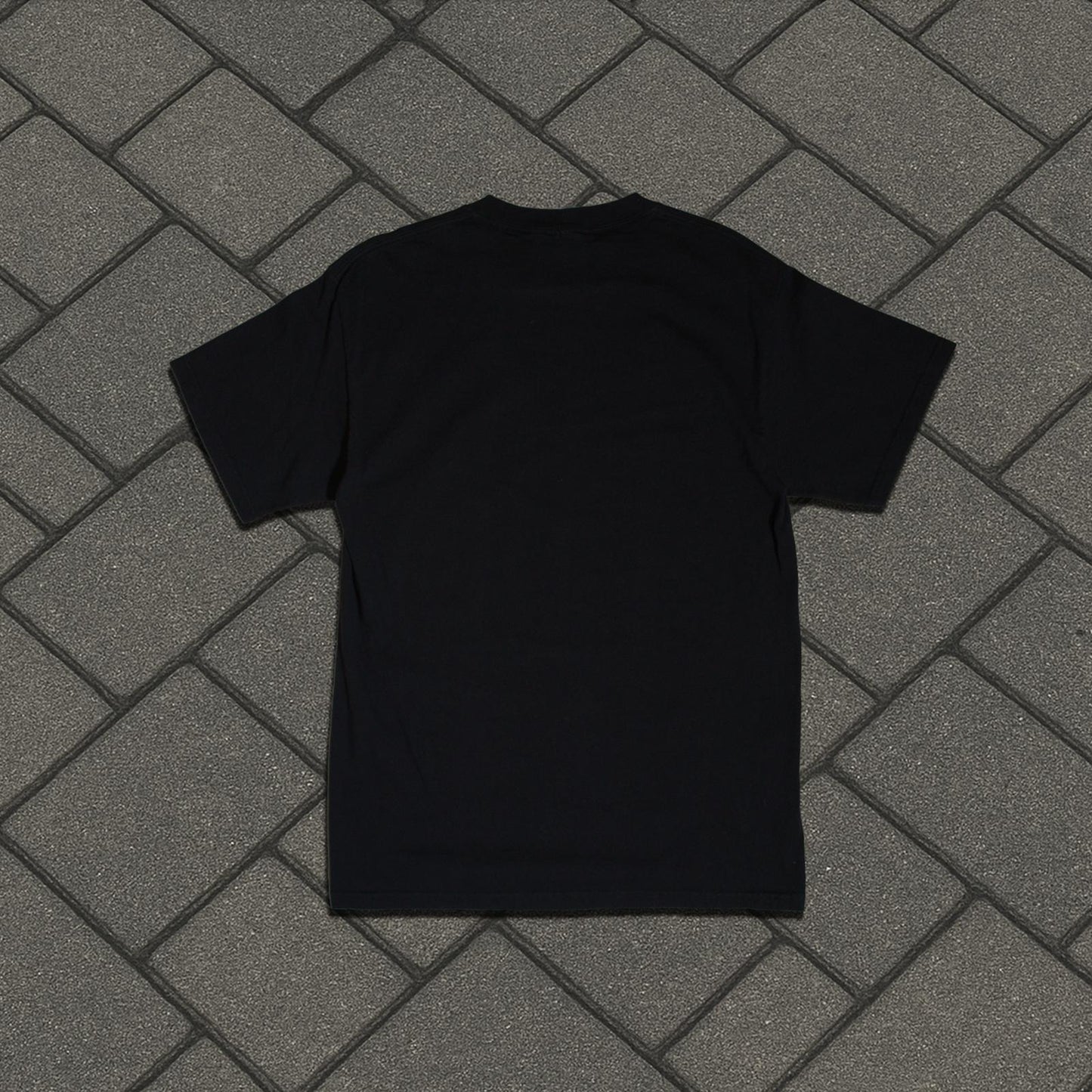 2004 A Global Threat Get In The Coffin Tee