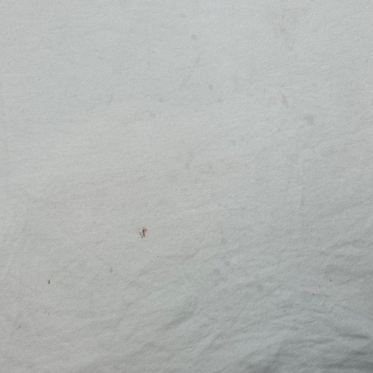 SS13 Raf Simons Brian Calvin ‘Killer’ Tank Top