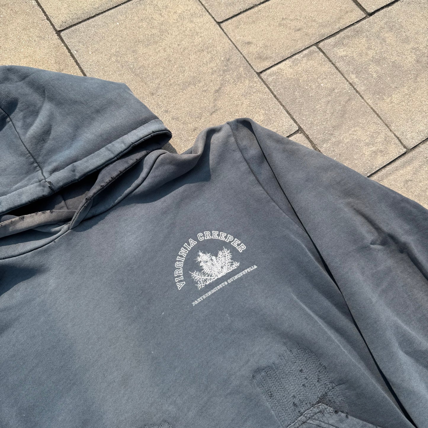 AW02 Raf Simons Virginia Creeper Colligate Hoodie