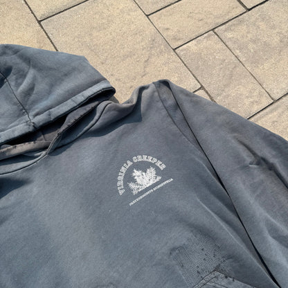 AW02 Raf Simons Virginia Creeper Colligate Hoodie