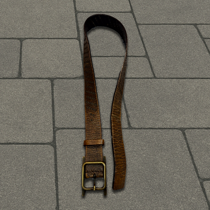 AW05 Dior Homme H-Belt