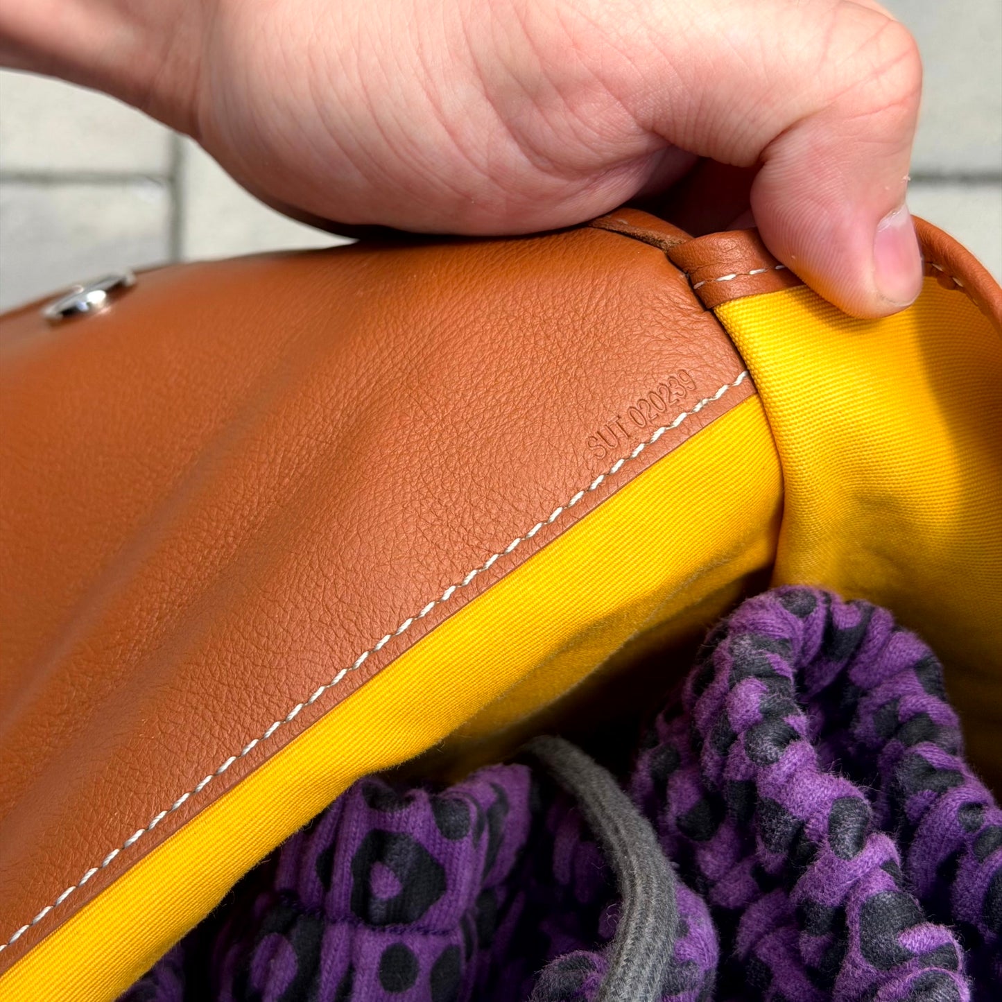 Goyard Brown Léger Backpack