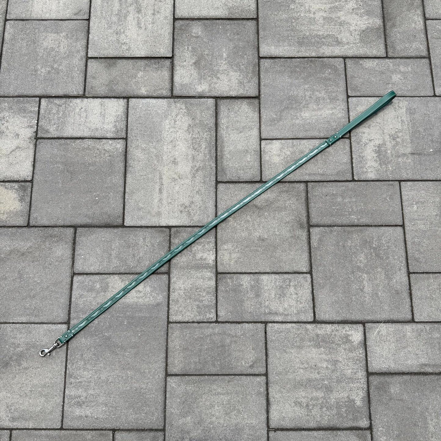 Goyard Green Leather Leash