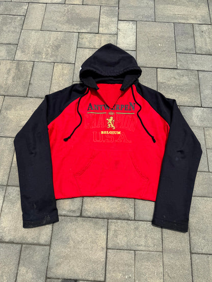 SS17 Vetements Champion Reverse Weave Antwerp Hoodie