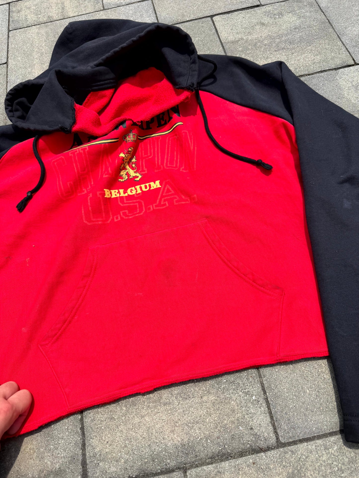 SS17 Vetements Champion Reverse Weave Antwerp Hoodie